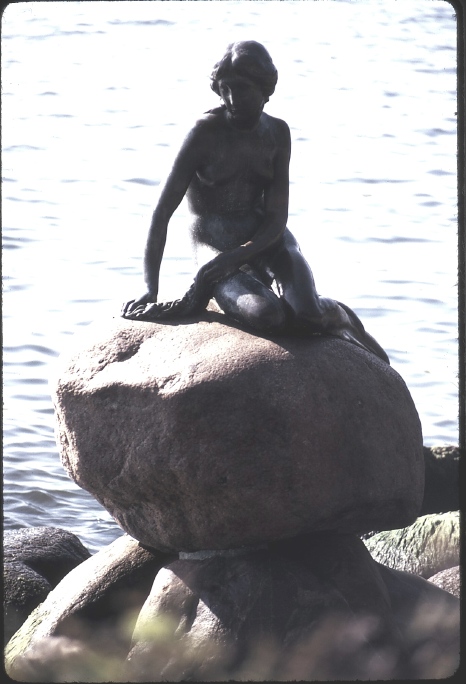 005_meerjungfrau.jpg