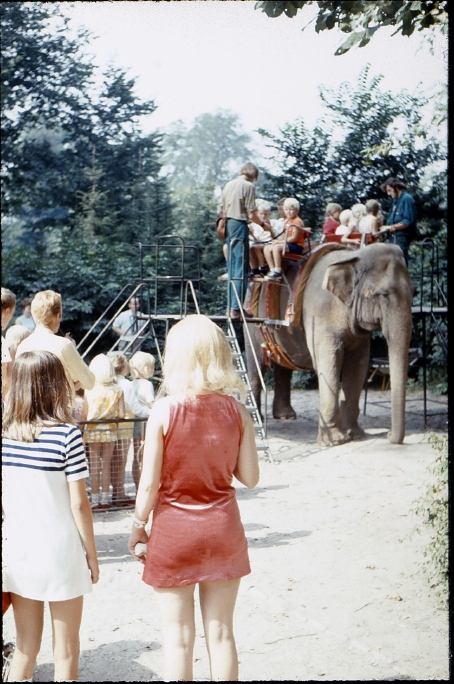 049_elefanten_im_zoo.jpg