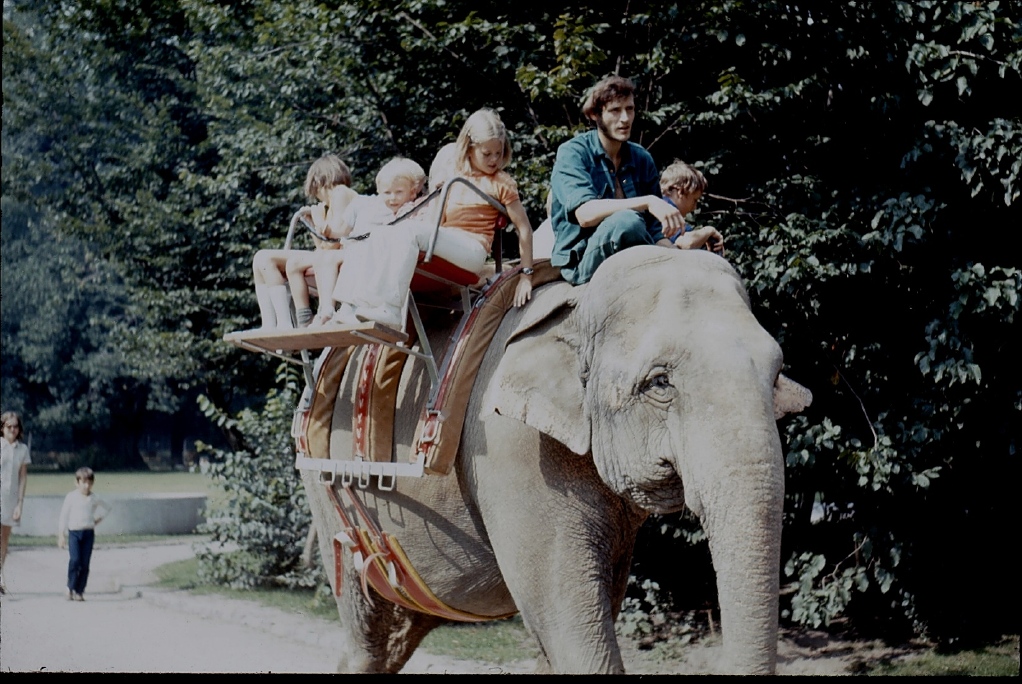 050_elefanten_im_zoo.jpg