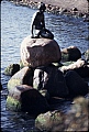 004_meerjungfrau.jpg