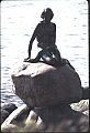 005_meerjungfrau.jpg