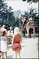 049_elefanten_im_zoo.jpg