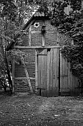 _IGP4166_2