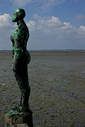 _IGP4349