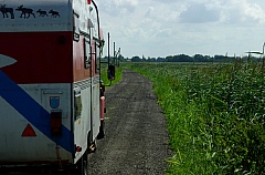 _IGP4493