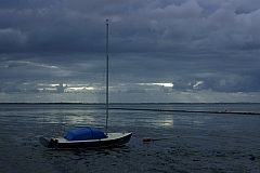_IGP4861