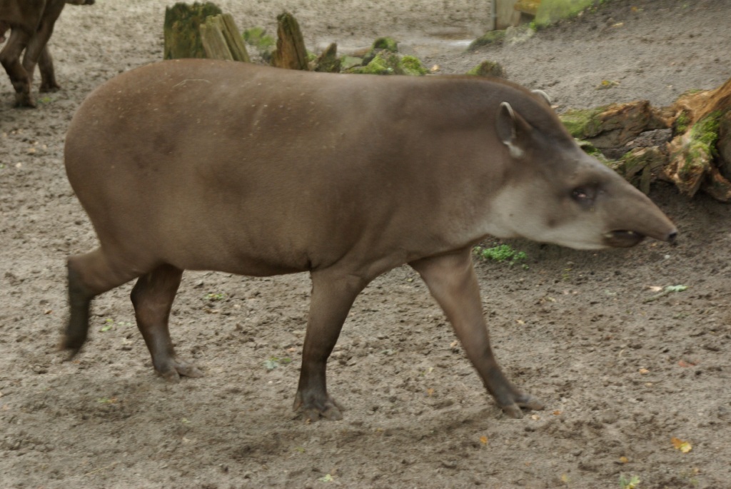 IMGP2966.jpg