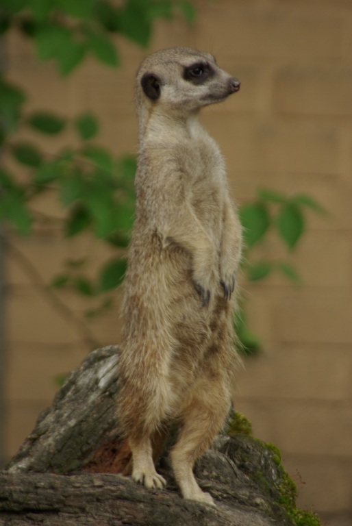 IMGP3065.jpg