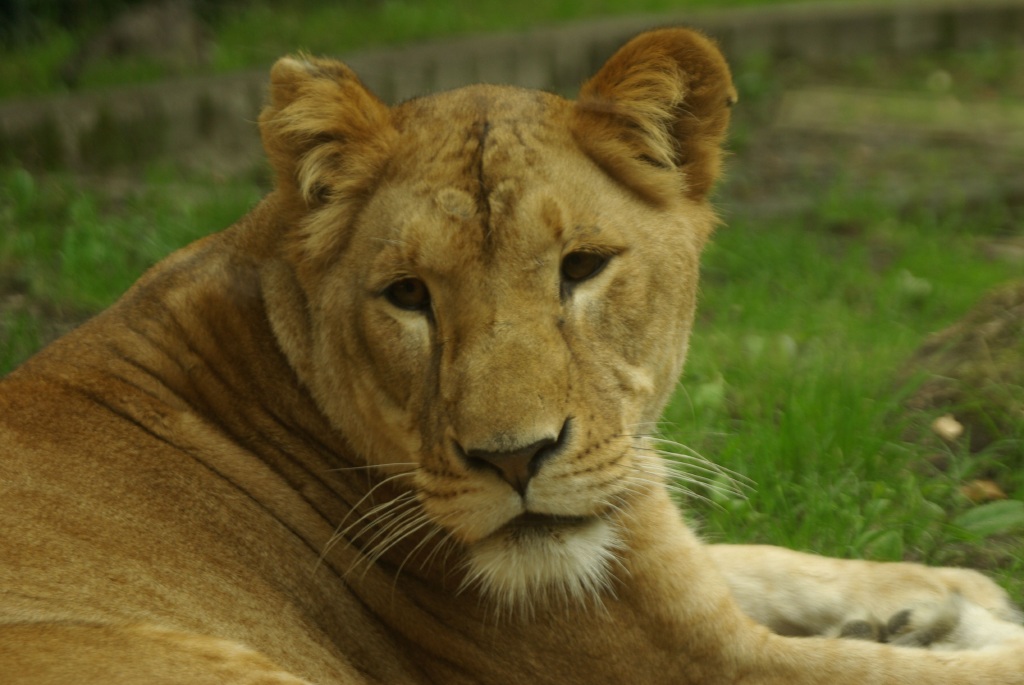IMGP3522.jpg