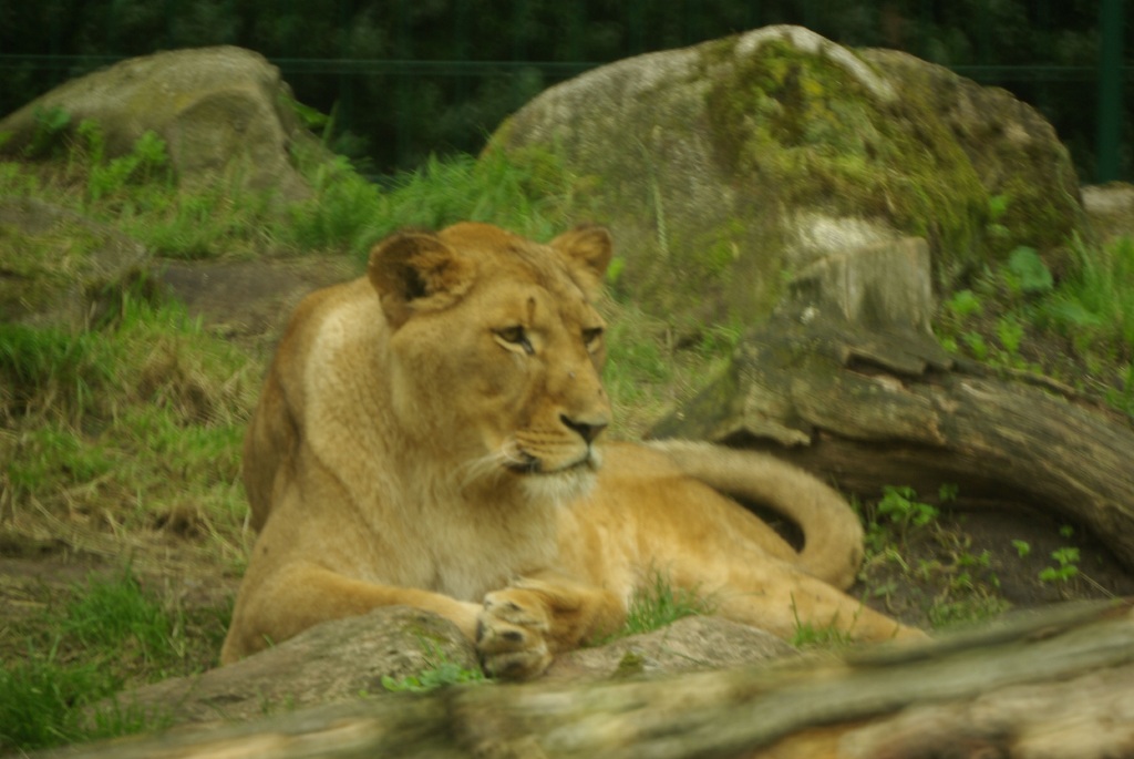 IMGP3562.jpg