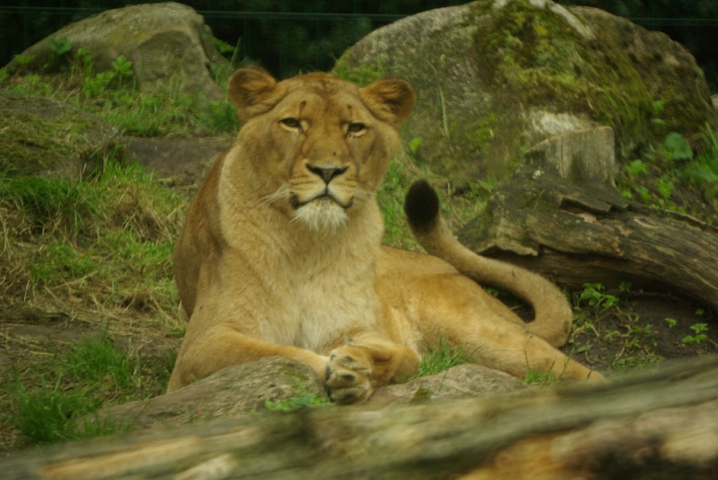 IMGP3568.jpg