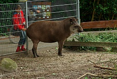 IMGP2959