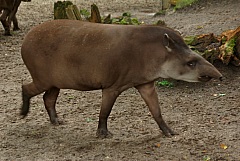 IMGP2966