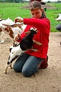 IMGP3178