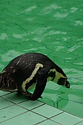 IMGP3383