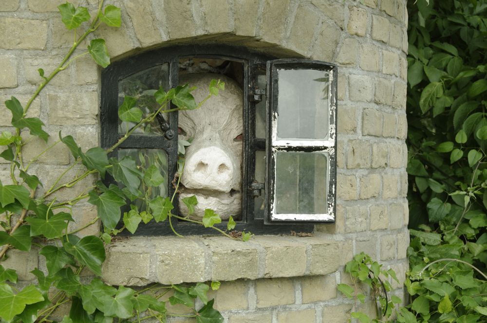 schwein